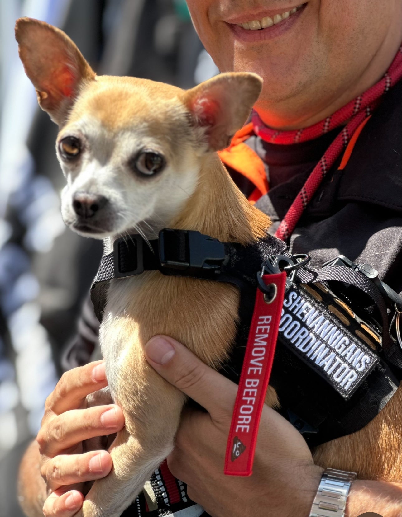 Shenannigans Coordinator Morale Patch