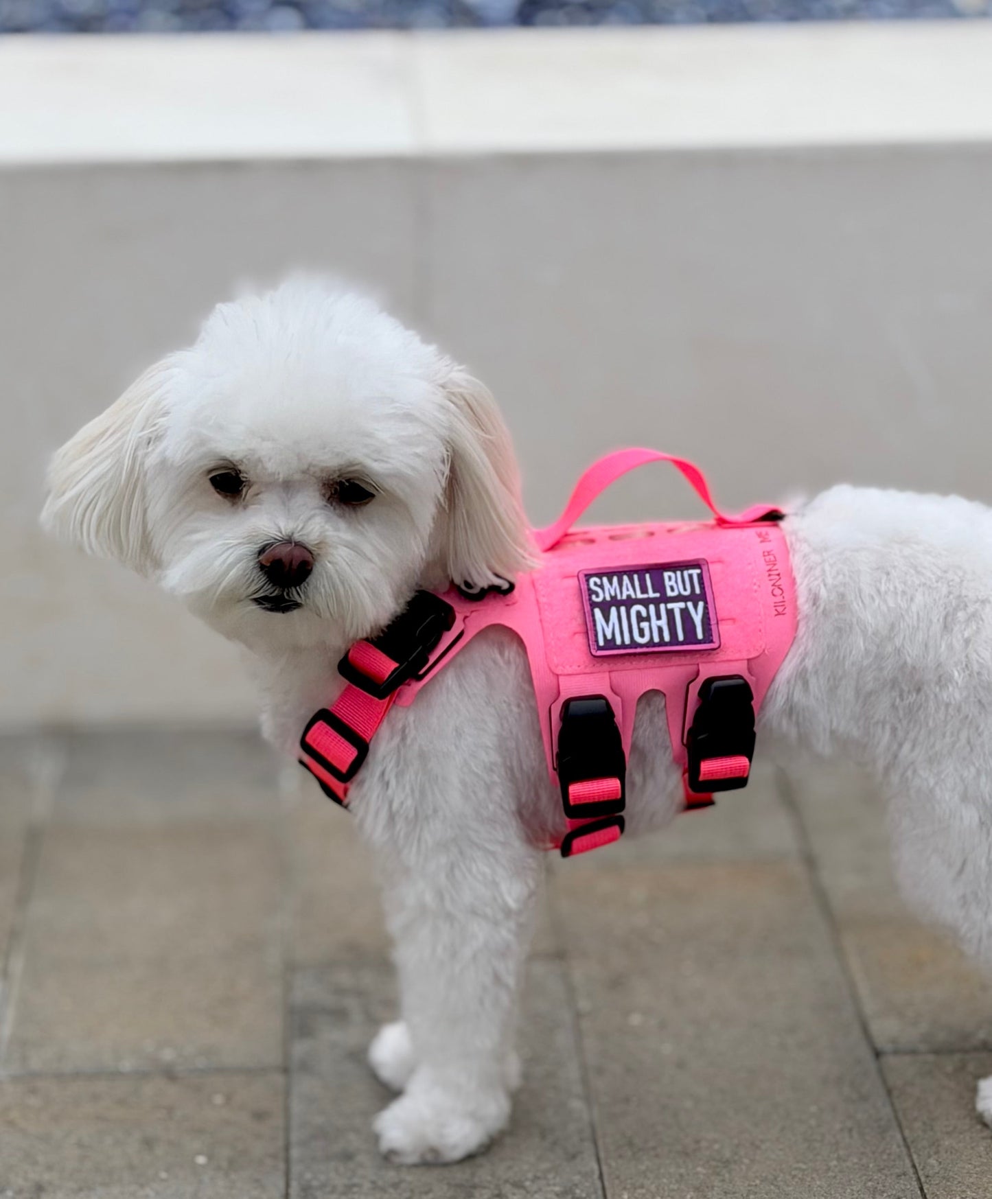 Small But Mighty (Pink & Purple) Morale Patch