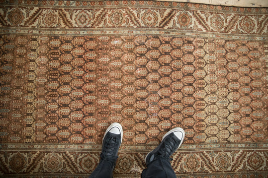 3.5x9.5 Vintage Distressed Hamadan Rug Runner