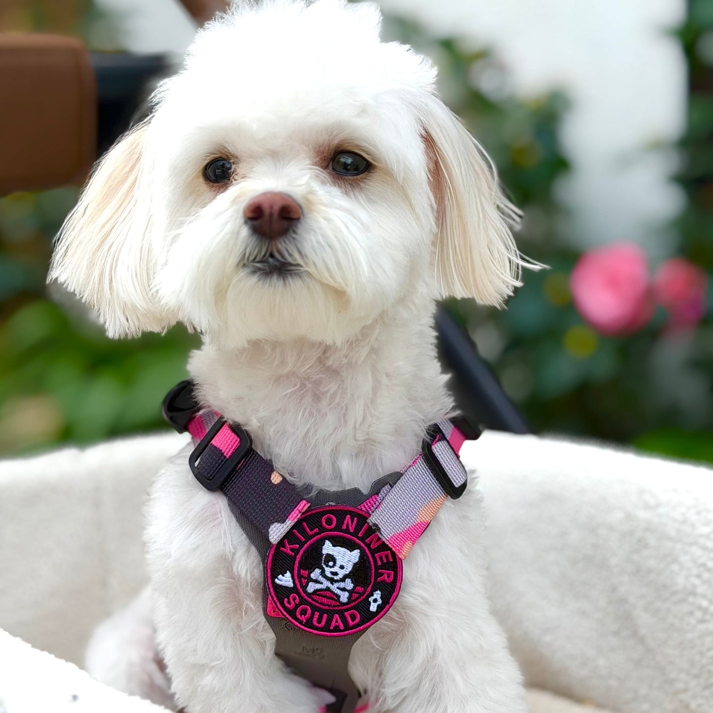 Mini Dog and Crossbones Pink and Black Morale Patch