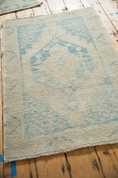 2.5x4 Distressed Oushak Rug