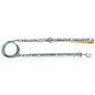 Snowy Slopes Leash