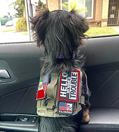 NAME TROUBLE - Morale Patch