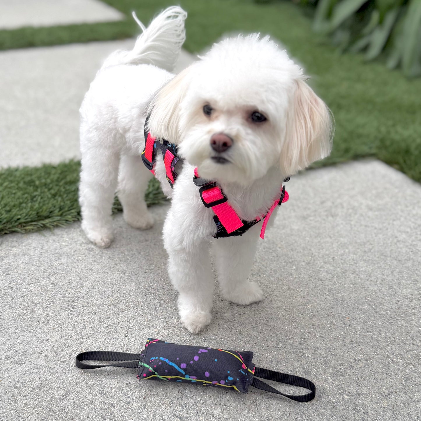 K9R - Mini Training Tug Toy - Small