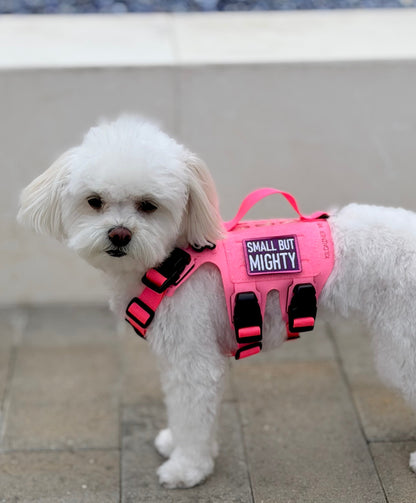 Small But Mighty (Pink & Purple) Morale Patch