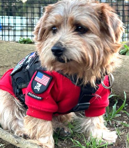MINI AMERICAN DOG & CROSSBONES SHIELD Morale Patch