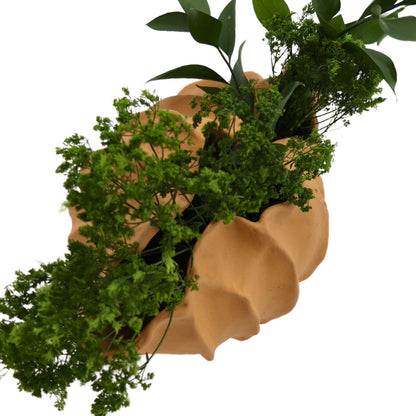 Sirene Shell Vase
