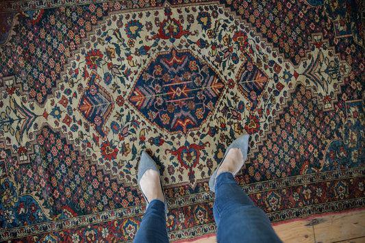 4.5x6.5 Vintage Baktiari Rug