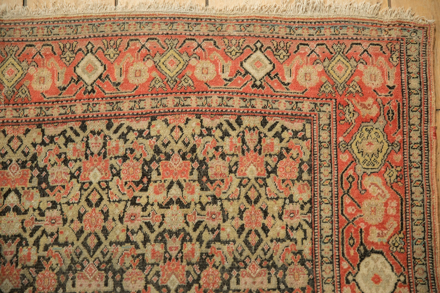 4x6 Antique Senneh Rug