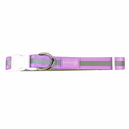 Shine Bright - Amethyst Collar